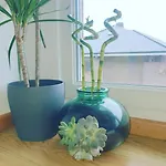 Nuevo De Dos Plantas *