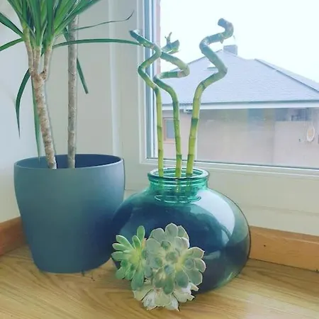 Nuevo De Dos Plantas *